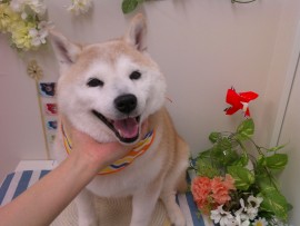 Digital Camera