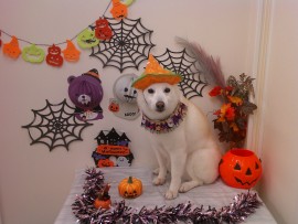 Digital Camera